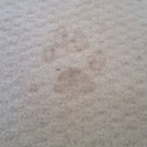 Meet your Posher, Yos